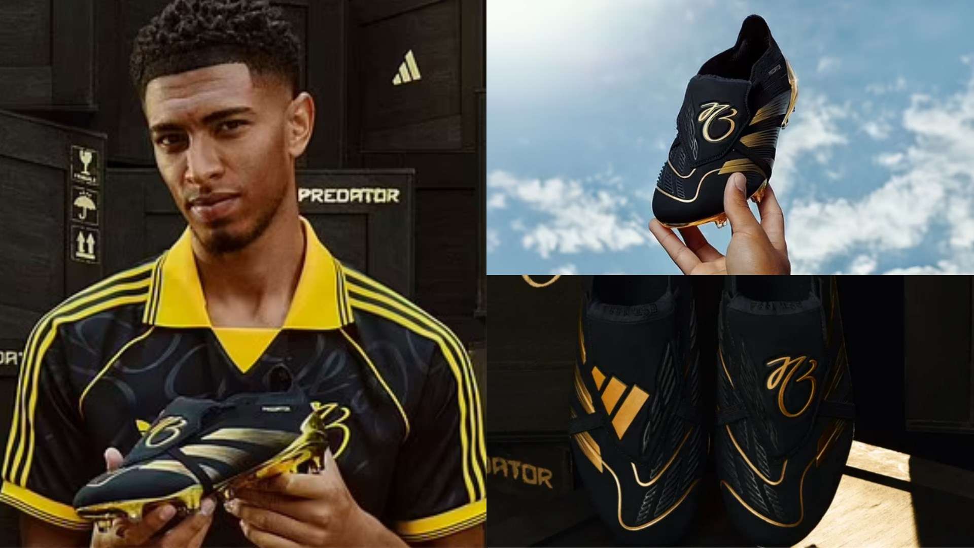 的精心指导 的精心指导